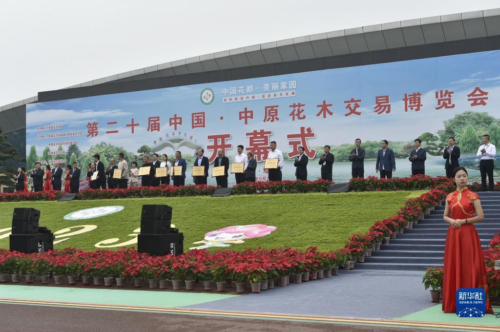王子棋牌官网登录